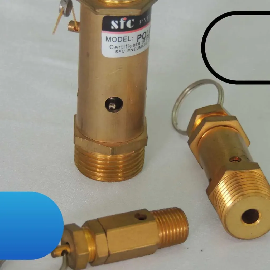 อุปกรณ์ระบบนิวแมติกส์ 8009-safety valve